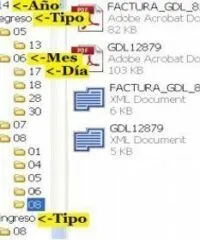 Organiza por Carpeta XML y PDF Pensus