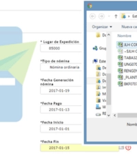 carga de plantilla al sistema de nomina en linea