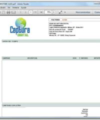 factura en pdf2