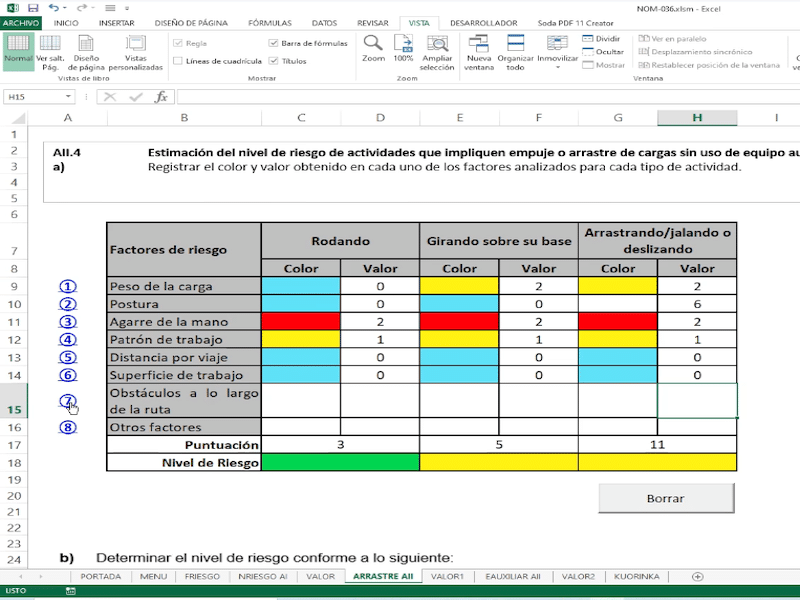 aplicacion NOM 036 STPS
