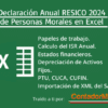 Declaracion anual RESICO persona moral en excel 2024