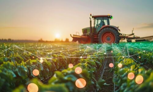 Tratamiento fiscal para el sector primario (AGAPES)