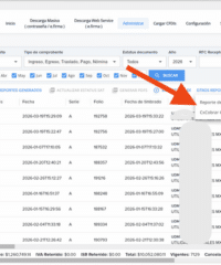 Reporte por conceptos XML CFDI Descarga Masiva ContadorMx